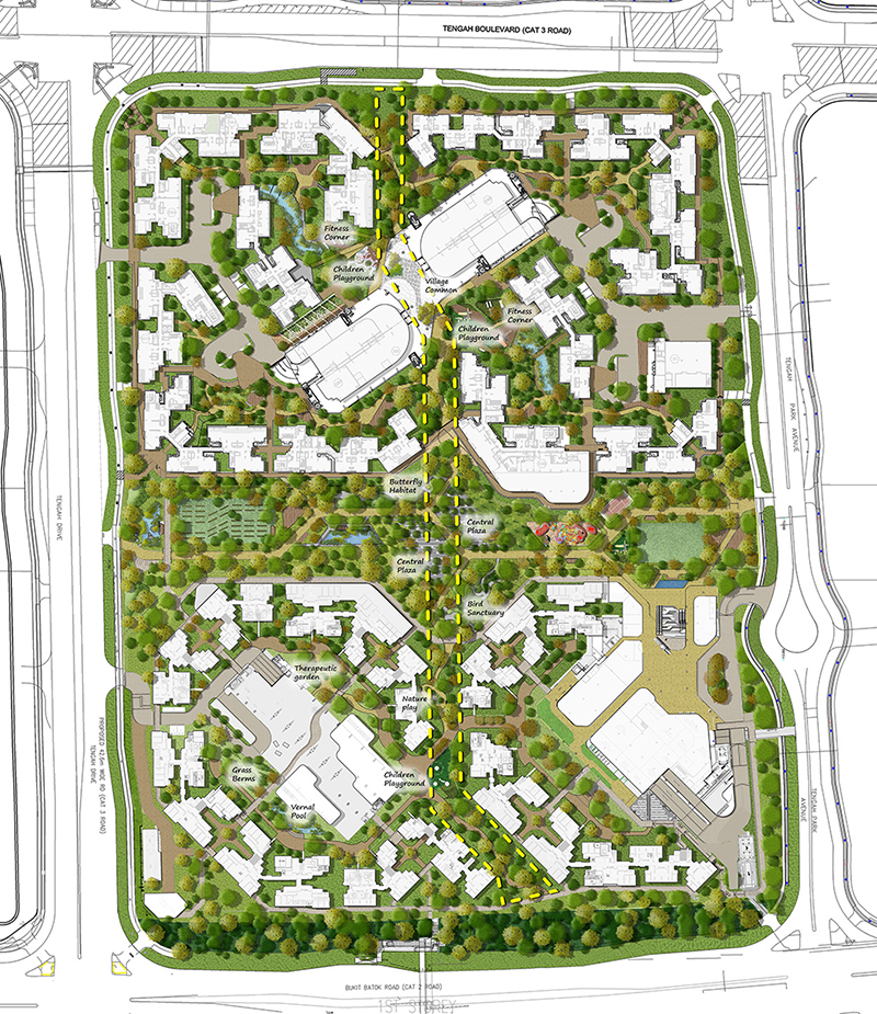 Layout of rainforest walk and its features.